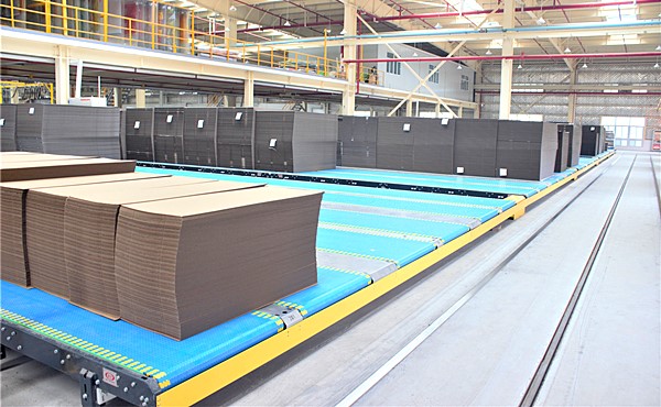 paperboard factory industrial conveyors
