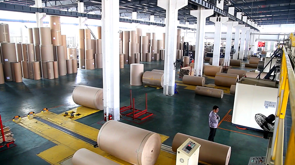 paper roll conveyor system suppliers