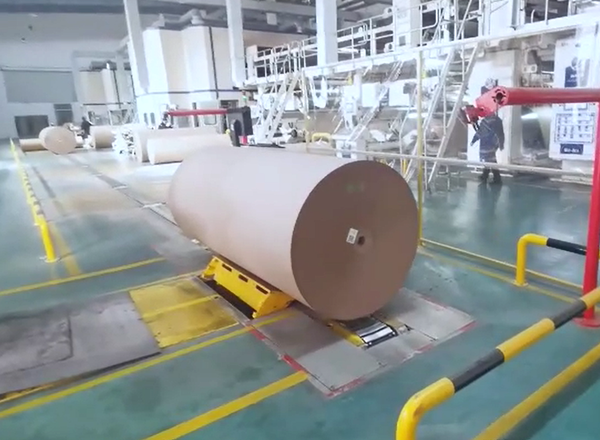 Paper Roll Warehouse Conveyor Systems