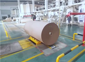 Paper Roll Warehouse Conveyor Systems